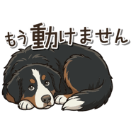 841121127