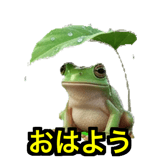 841121282