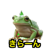 841121283