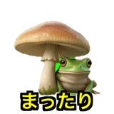 841121284
