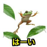 841121286
