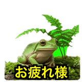 841121287