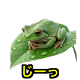 841121290