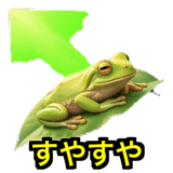 841121299