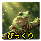 841121302