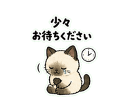 841121525