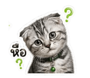 841123660