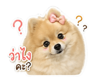 841123871