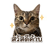 841124705