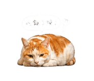 841125683