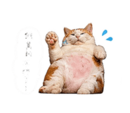 841125686