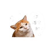 841125697