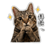 841125830