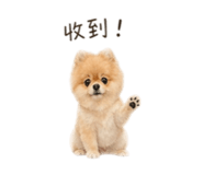 841126141