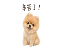 841126143