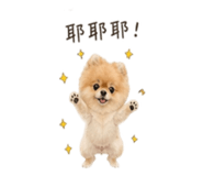 841126149