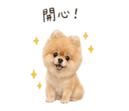 841126150