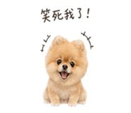 841126151