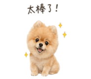841126152