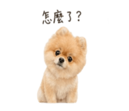 841126154