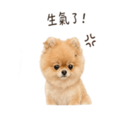 841126156