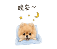 841126159