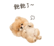 841126166