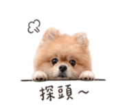 841126169