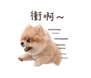 841126170