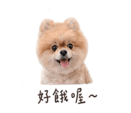 841126173