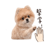 841126174