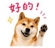 841126209