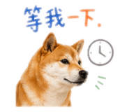 841126213