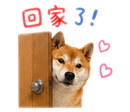 841126218