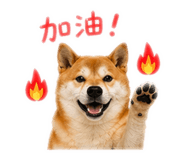 841126222