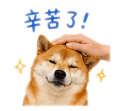 841126223