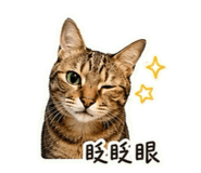 841126562