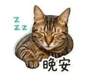 841126566
