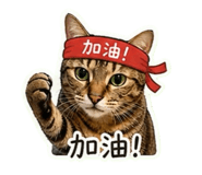 841126572