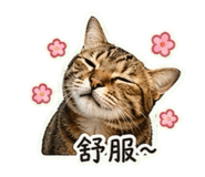 841126575