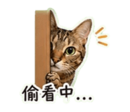 841126583