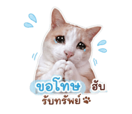 841127062