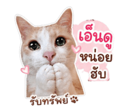 841127065