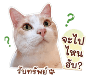 841127069