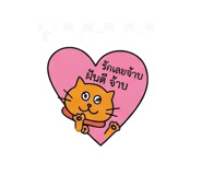 841127753