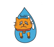 841127755