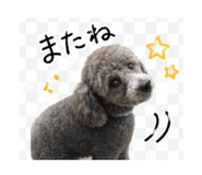 841127847