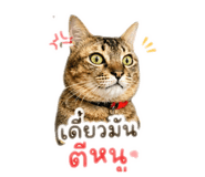 841128019