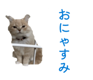 841128109
