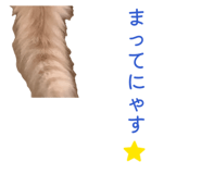 841128110